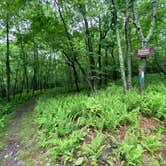 Review photo of AT/Bypass Trail Split Primitive Campground by Asher K., June 29, 2023