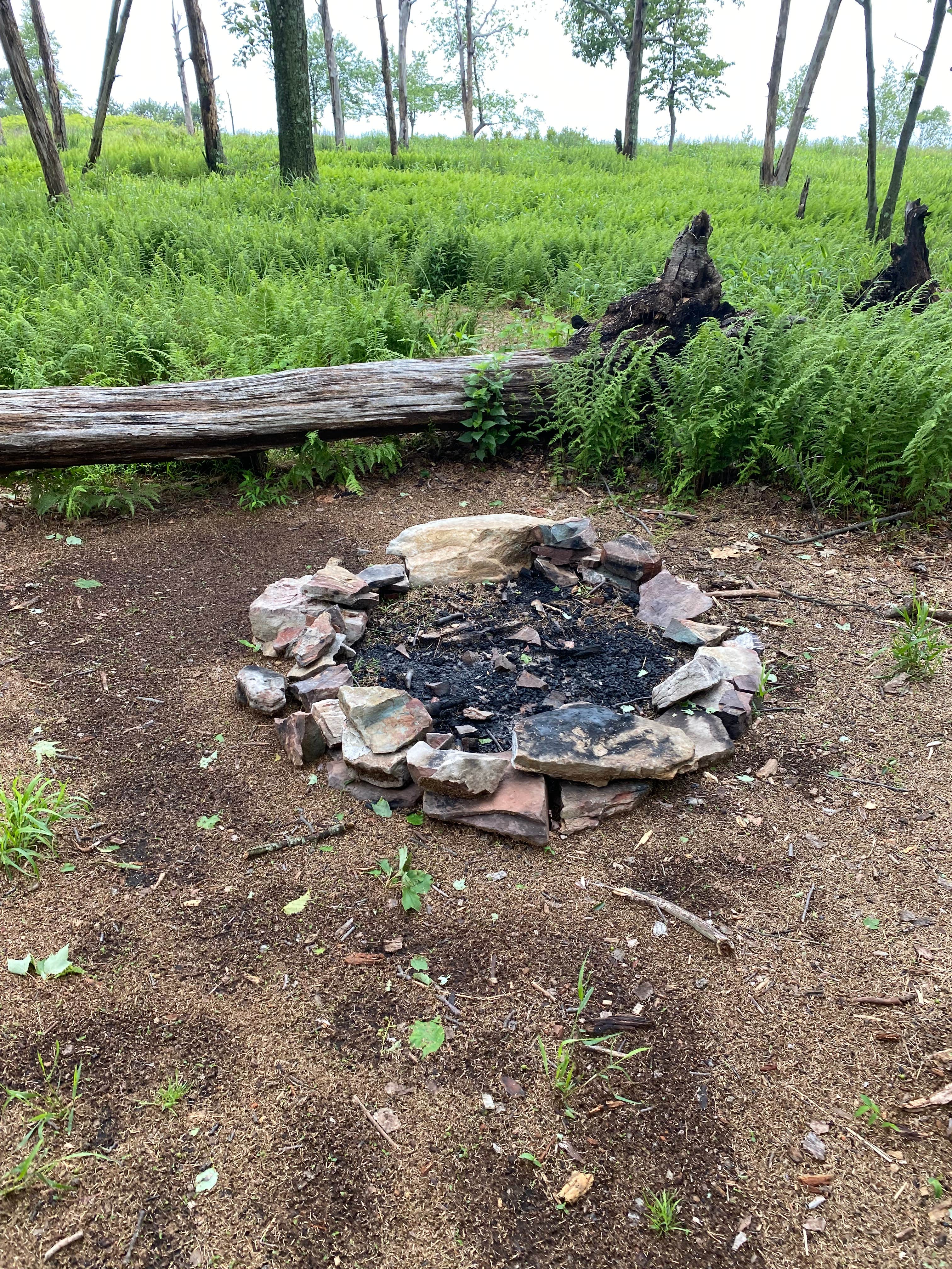 Camper submitted image from AT Ridge Campground near Lehigh Gap - 3
