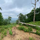 Review photo of AT Ridge Campground near Lehigh Gap by Asher K., June 29, 2023