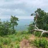 Review photo of AT Ridge Campground near Lehigh Gap by Asher K., June 29, 2023