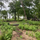 Review photo of AT Ridge Campground near Lehigh Gap by Asher K., June 29, 2023