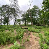 Review photo of AT Ridge Campground near Lehigh Gap by Asher K., June 29, 2023