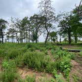 Review photo of AT Ridge Campground near Lehigh Gap by Asher K., June 29, 2023