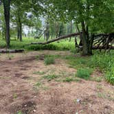 Review photo of AT Ridge Campground near Lehigh Gap by Asher K., June 29, 2023