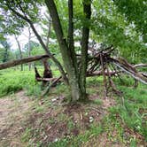 Review photo of AT Ridge Campground near Lehigh Gap by Asher K., June 29, 2023