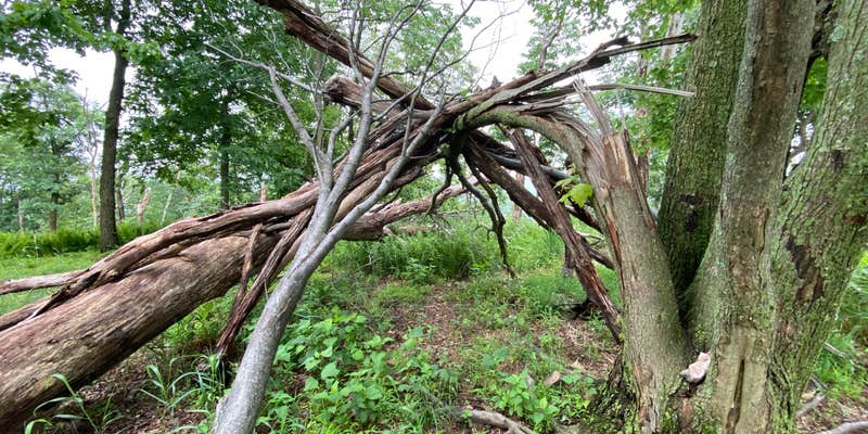 Camper submitted image from AT Ridge Campground near Lehigh Gap