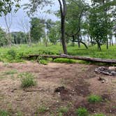 Review photo of AT Ridge Campground near Lehigh Gap by Asher K., June 29, 2023