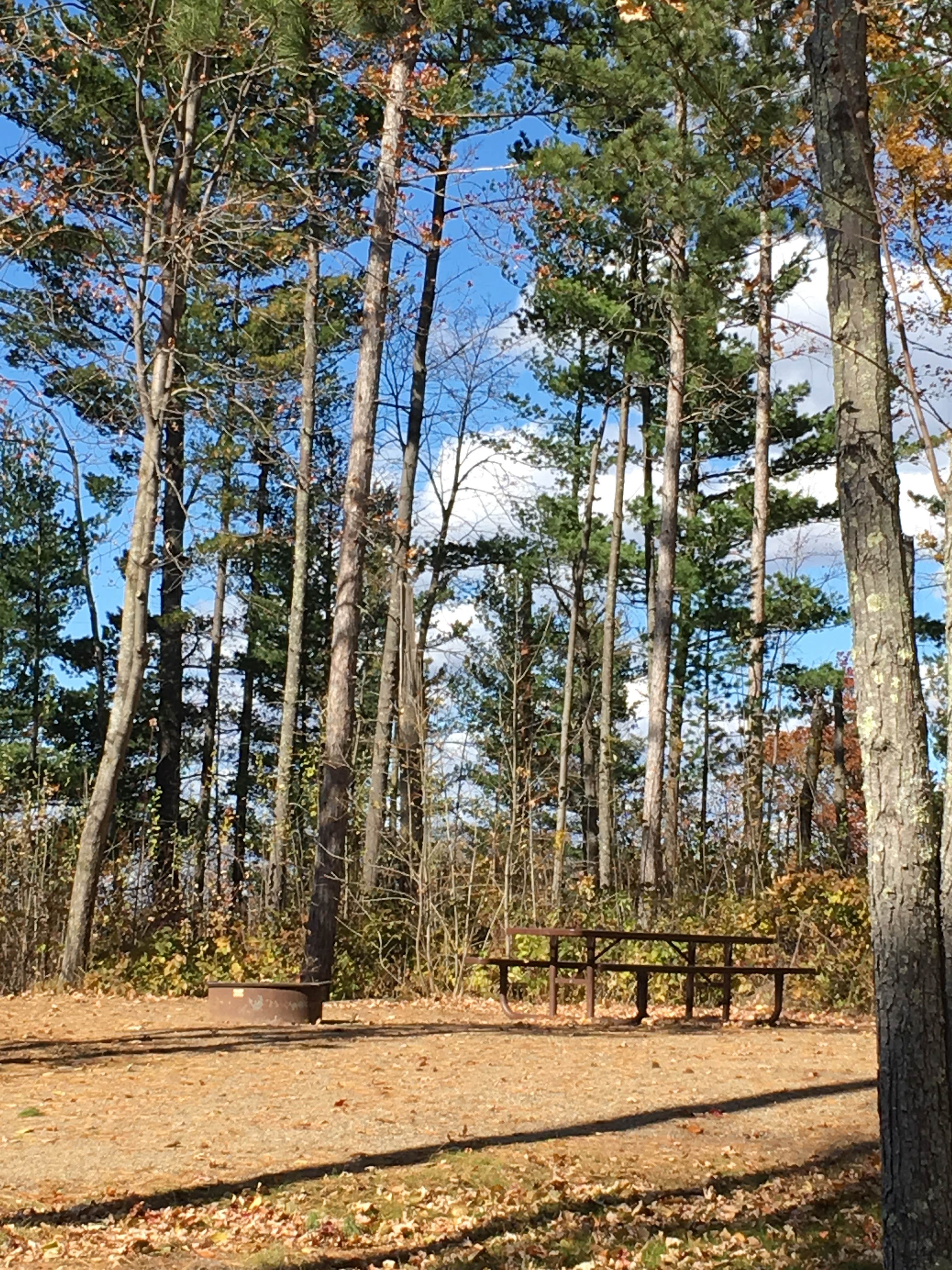 Gull Lake Recreation Area Camping | Brainerd, MN