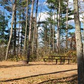 Review photo of Gull Lake Recreation Area by Janet R., October 20, 2018