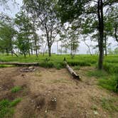 Review photo of AT Ridge Campground near Lehigh Gap by Asher K., June 29, 2023