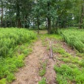 Review photo of AT Ridge Campground near Lehigh Gap by Asher K., June 29, 2023