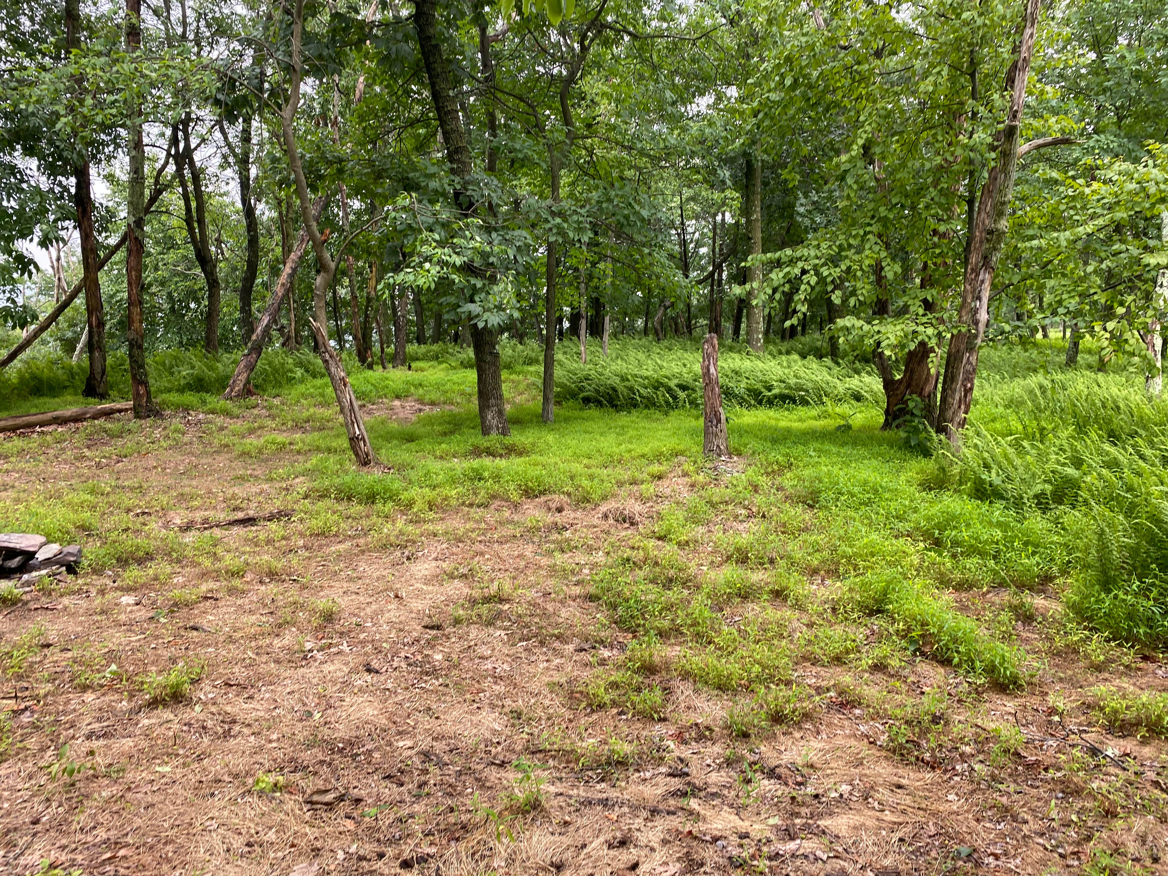 Camper-submitted photo at AT Ridge Campground near Lehigh Gap near Blandon, PA
