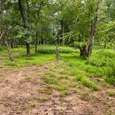 Review photo of AT Ridge Campground near Lehigh Gap by Asher K., June 29, 2023