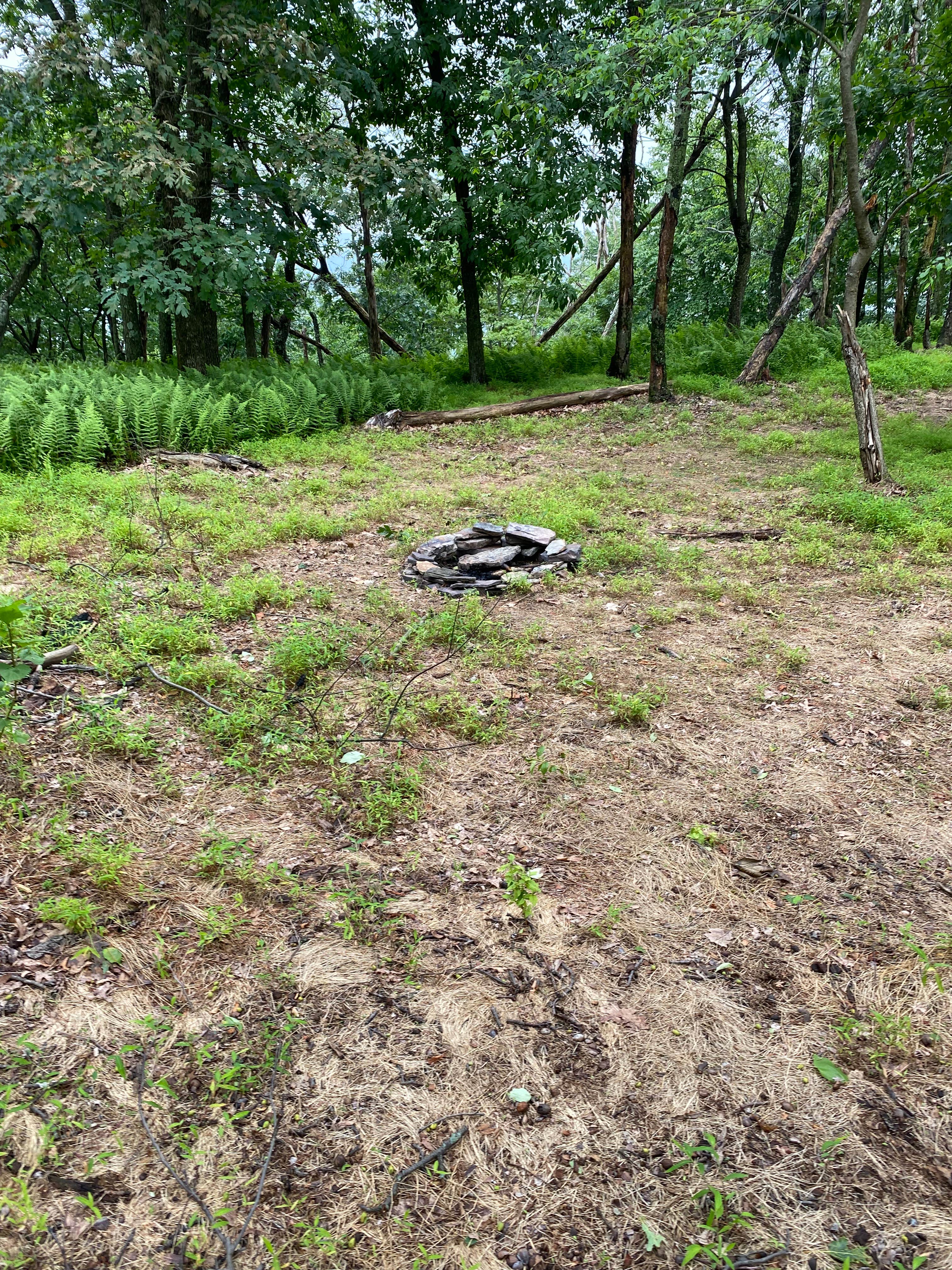 Camper-submitted photo at AT Ridge Campground near Lehigh Gap near Blandon, PA