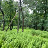 Review photo of AT Ridge Campground near Lehigh Gap by Asher K., June 29, 2023