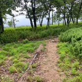 Review photo of AT Ridge Campground near Lehigh Gap by Asher K., June 29, 2023