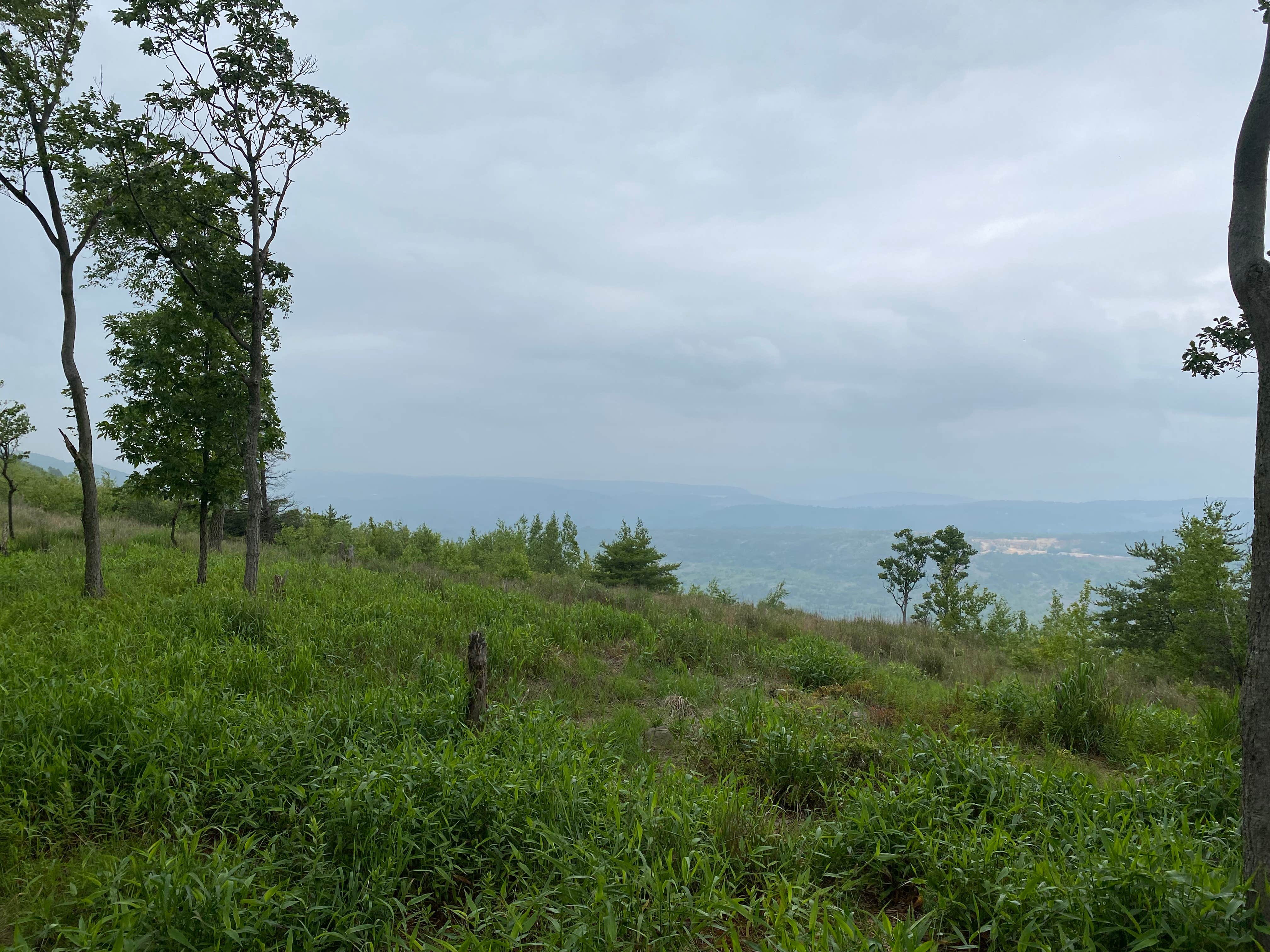 Camper-submitted photo at AT Overlook Campground near Lehigh Gap near Macungie, PA