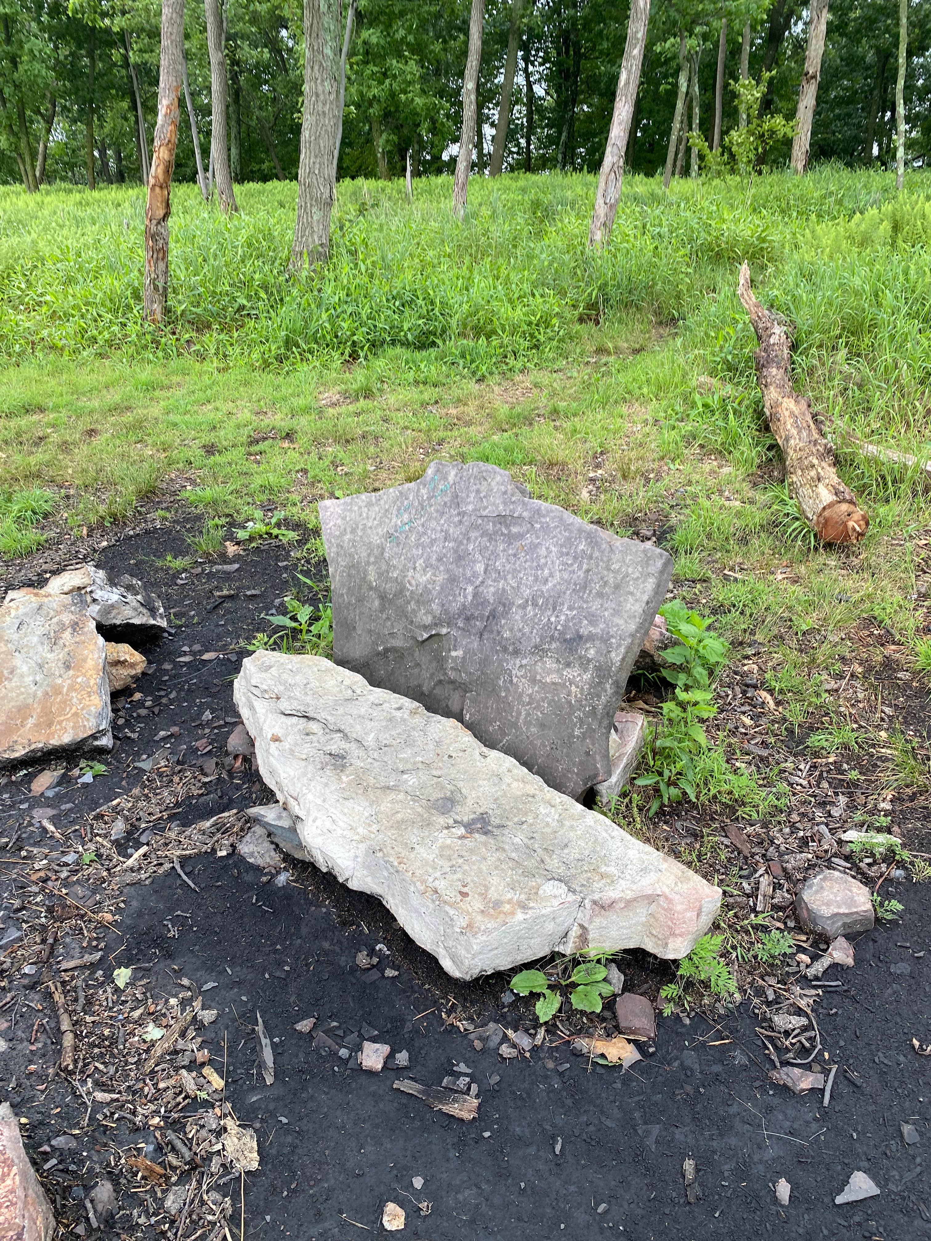 Camper submitted image from AT Overlook Campground near Lehigh Gap - 3