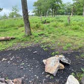 Review photo of AT Overlook Campground near Lehigh Gap by Asher K., June 29, 2023