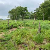 Review photo of AT Overlook Campground near Lehigh Gap by Asher K., June 29, 2023