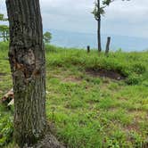 Review photo of AT Overlook Campground near Lehigh Gap by Asher K., June 29, 2023