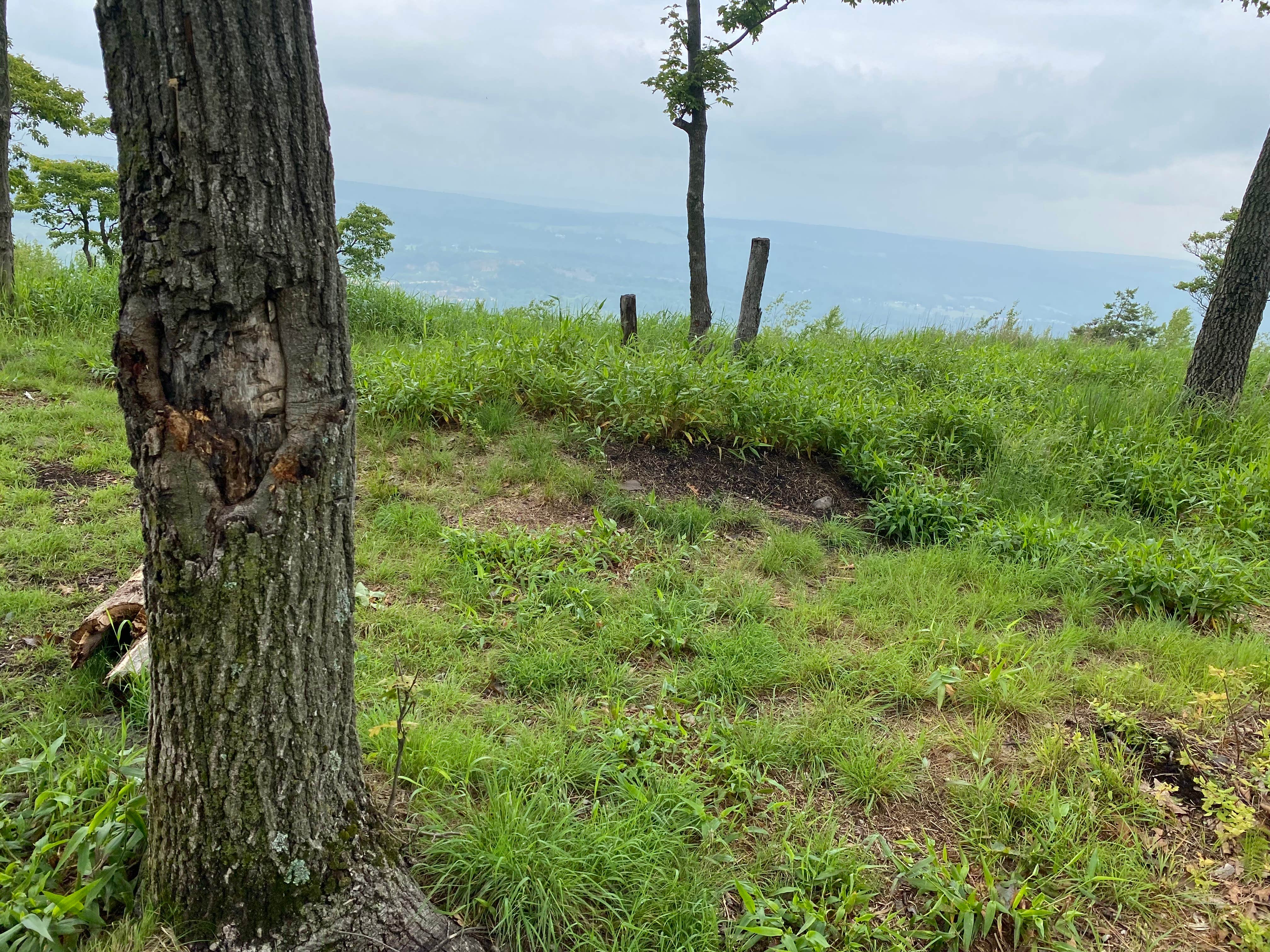 Camper submitted image from AT Overlook Campground near Lehigh Gap - 1