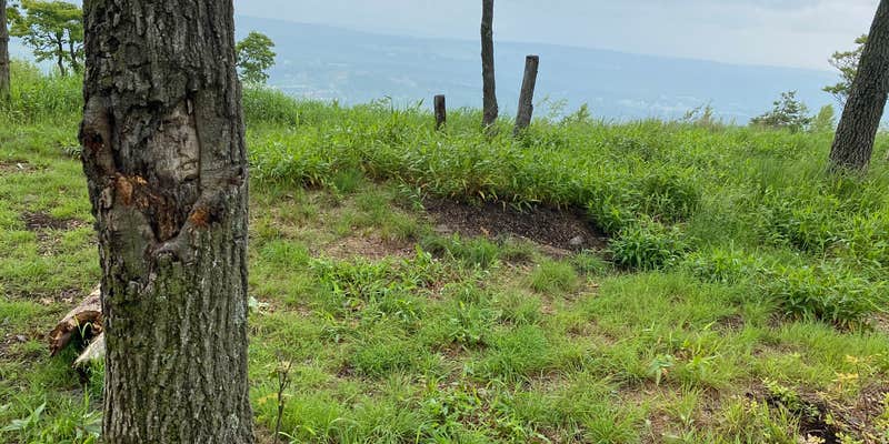 Camper submitted image from AT Overlook Campground near Lehigh Gap