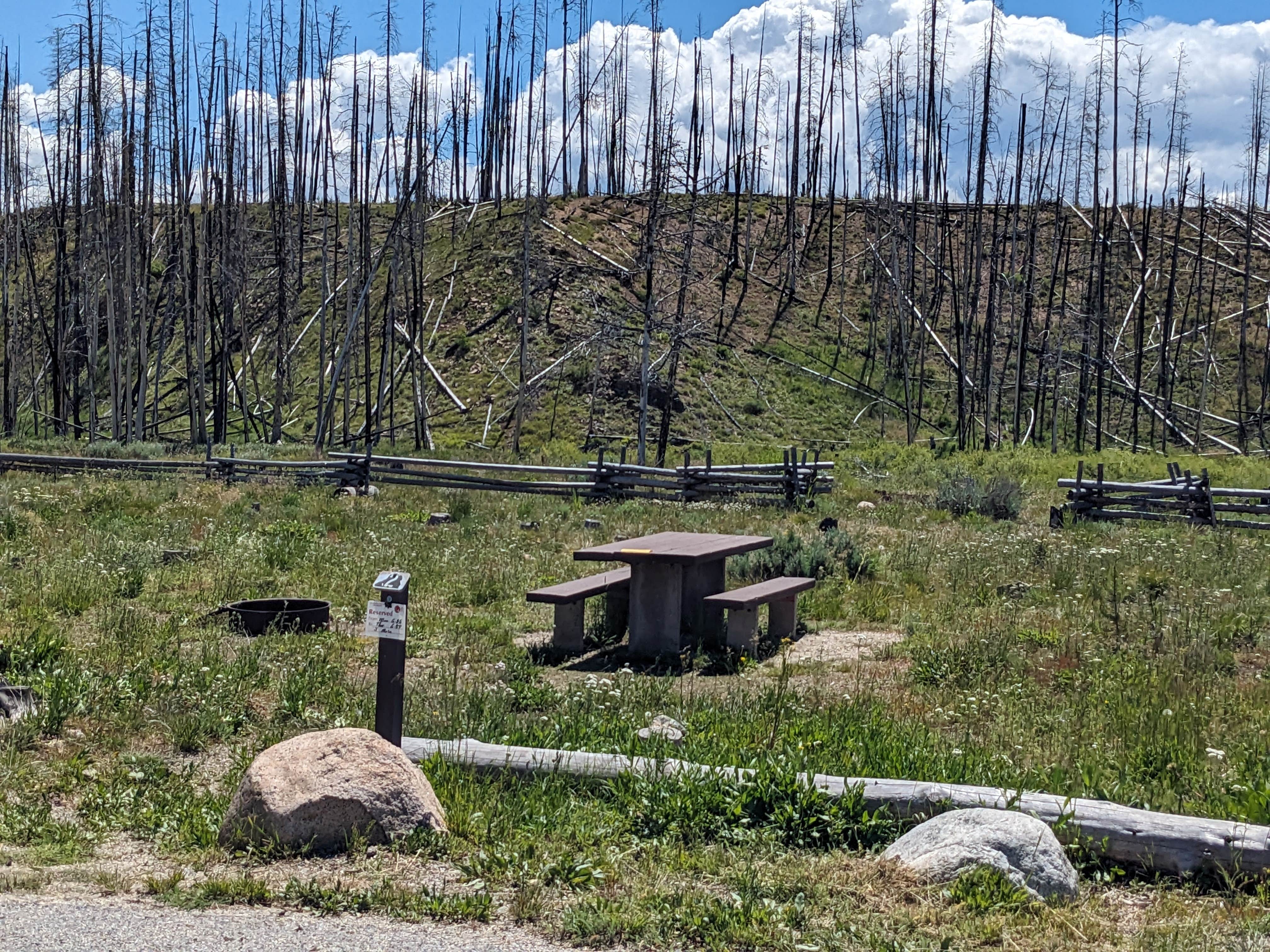 Camper submitted image from Elk Creek Campground (sawtooth Nf) - 3