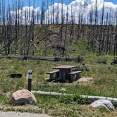 Review photo of Elk Creek Campground (sawtooth Nf) by Greg L., June 29, 2023