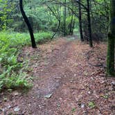 Review photo of AT Group Campsite near Lehigh Gap by Asher K., June 29, 2023