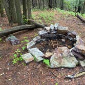 Review photo of AT Group Campsite near Lehigh Gap by Asher K., June 29, 2023