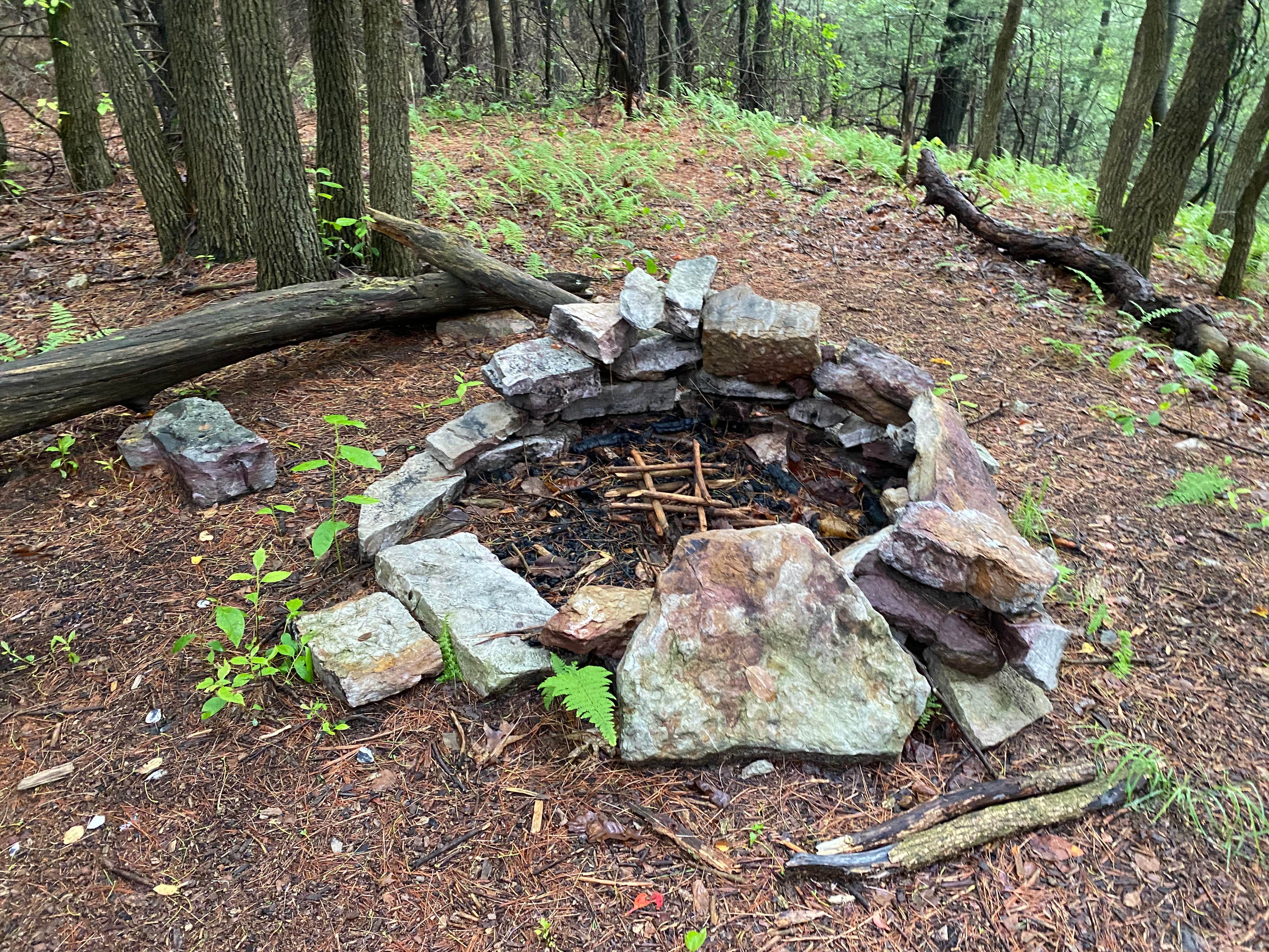 Camper submitted image from AT Group Campsite near Lehigh Gap - 5