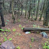 Review photo of AT Group Campsite near Lehigh Gap by Asher K., June 29, 2023