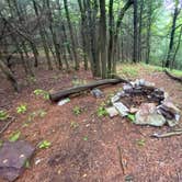 Review photo of AT Group Campsite near Lehigh Gap by Asher K., June 29, 2023
