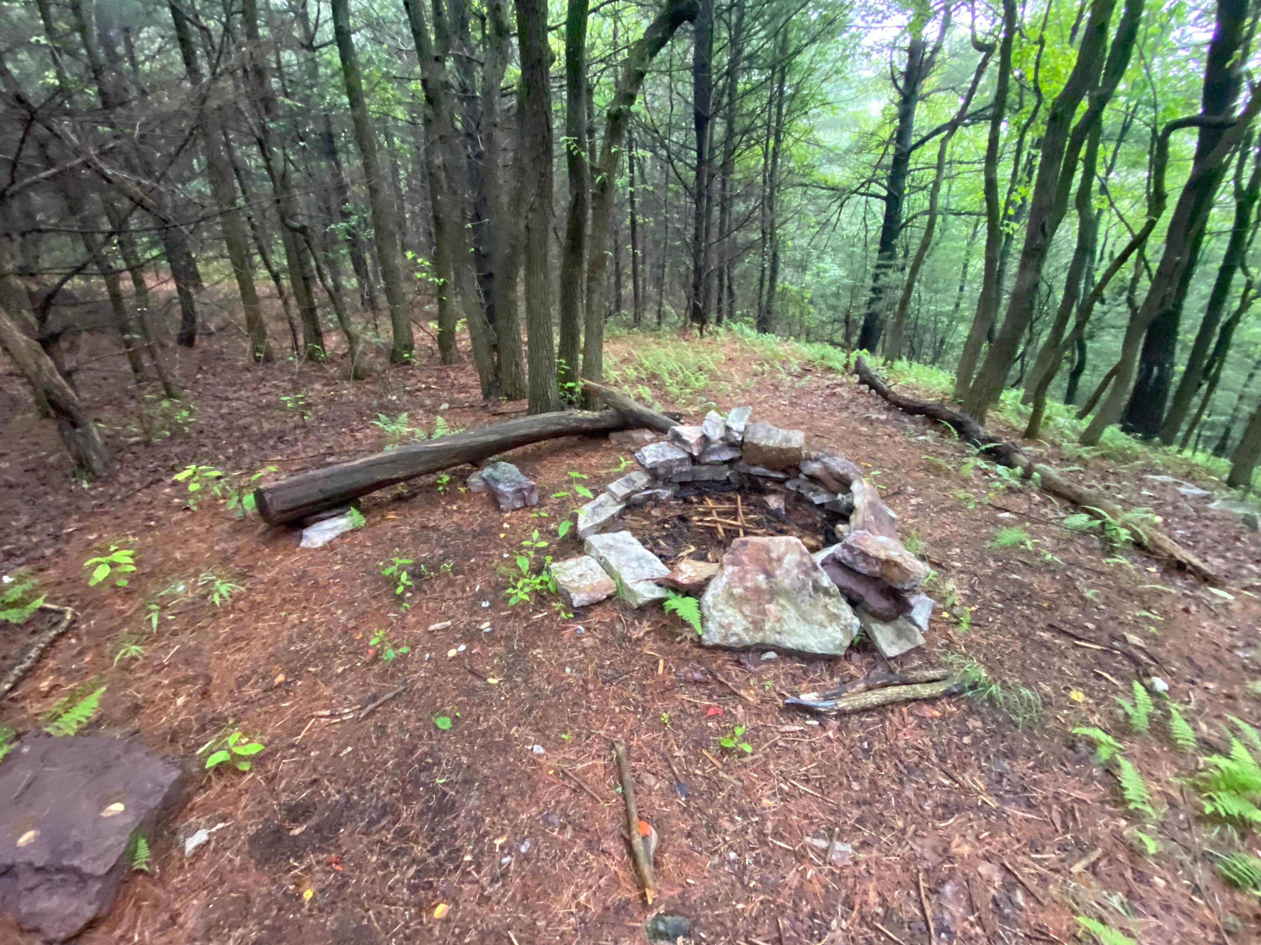 Camper submitted image from AT Group Campsite near Lehigh Gap - 2