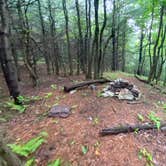 Review photo of AT Group Campsite near Lehigh Gap by Asher K., June 29, 2023