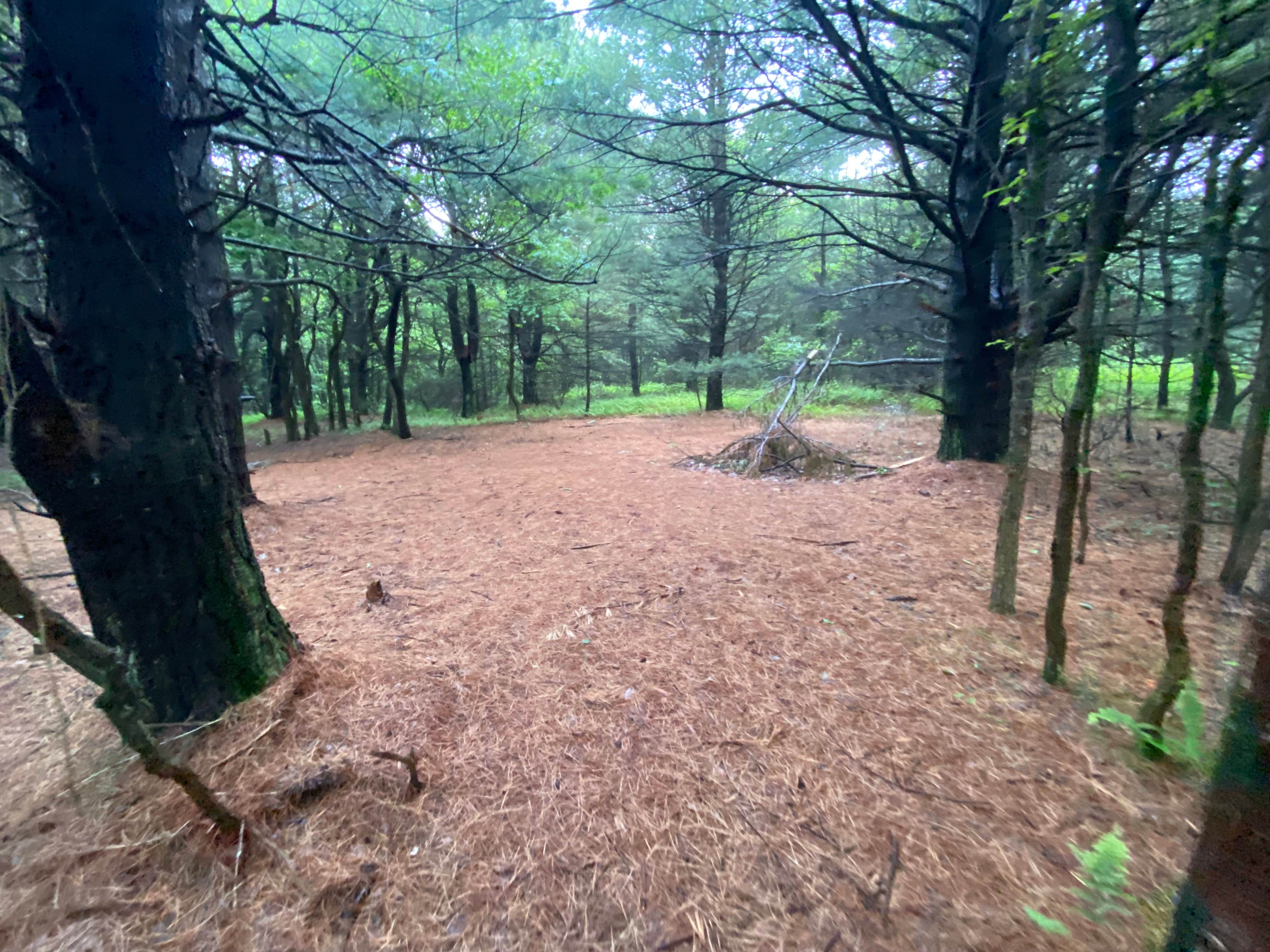 Camper-submitted photo at AT Group Campsite near Lehigh Gap near Blandon, PA