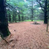 Review photo of AT Group Campsite near Lehigh Gap by Asher K., June 29, 2023