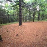 Review photo of AT Group Campsite near Lehigh Gap by Asher K., June 29, 2023