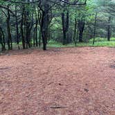 Review photo of AT Group Campsite near Lehigh Gap by Asher K., June 29, 2023