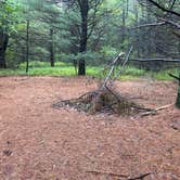 Review photo of AT Group Campsite near Lehigh Gap by Asher K., June 29, 2023