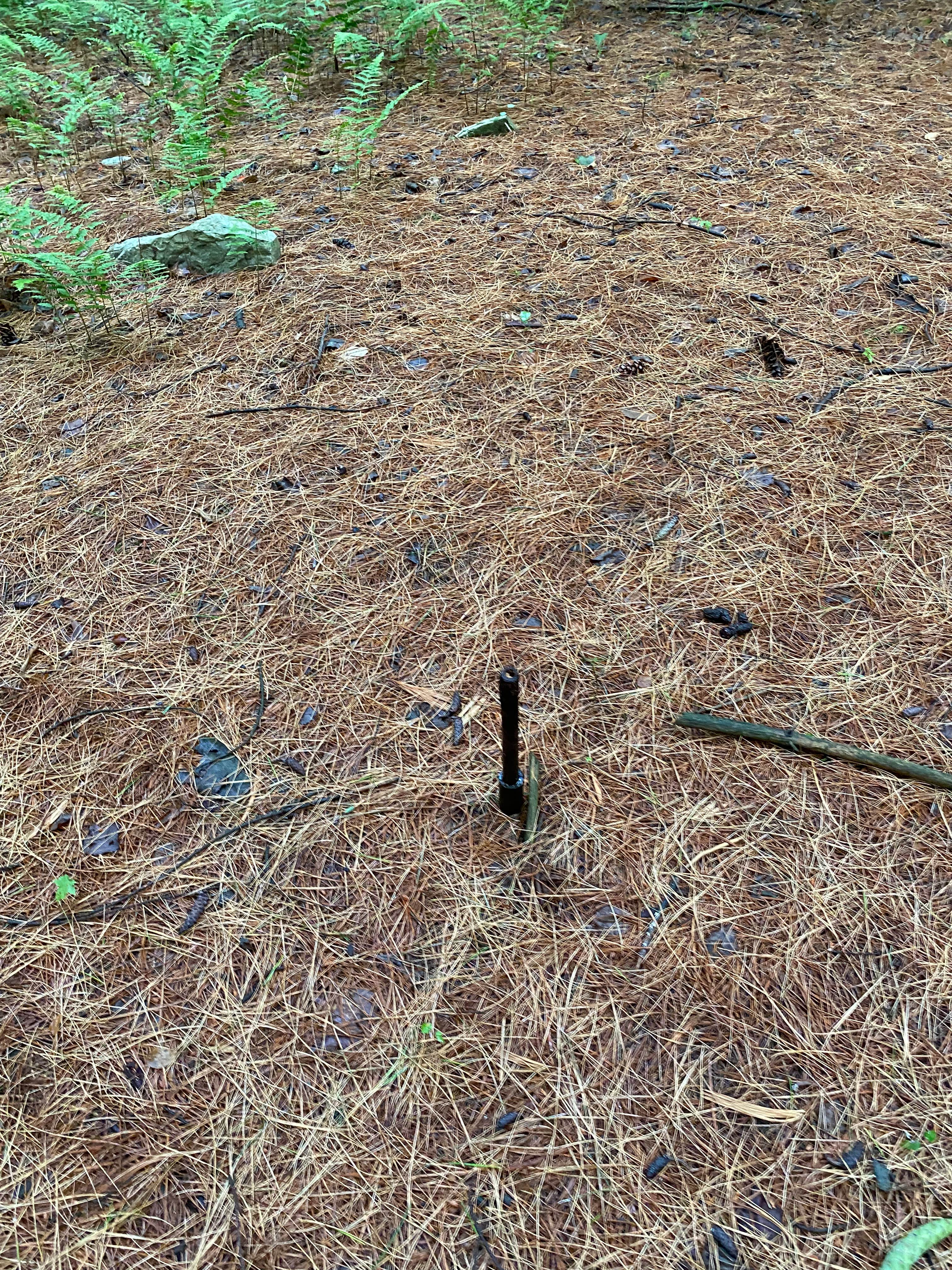 Camper-submitted photo at AT Group Campsite near Lehigh Gap near Blandon, PA