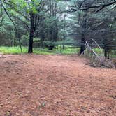 Review photo of AT Group Campsite near Lehigh Gap by Asher K., June 29, 2023