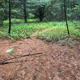 Review photo of AT Group Campsite near Lehigh Gap by Asher K., June 29, 2023