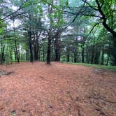 Review photo of AT Group Campsite near Lehigh Gap by Asher K., June 29, 2023