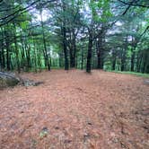 Review photo of AT Group Campsite near Lehigh Gap by Asher K., June 29, 2023