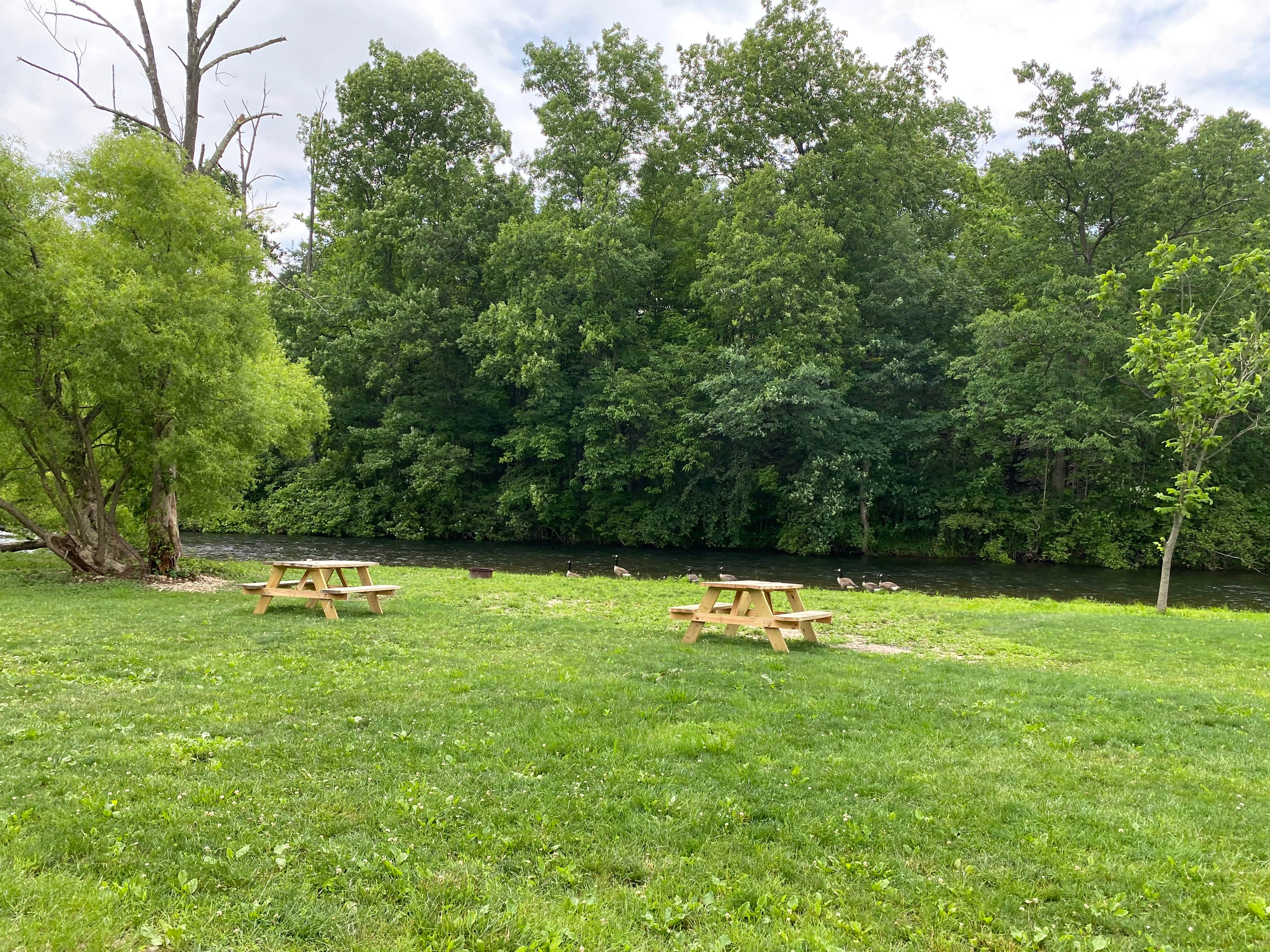Asher K.'s photo of camping with pets at Pocono Point near Andreas, PA
