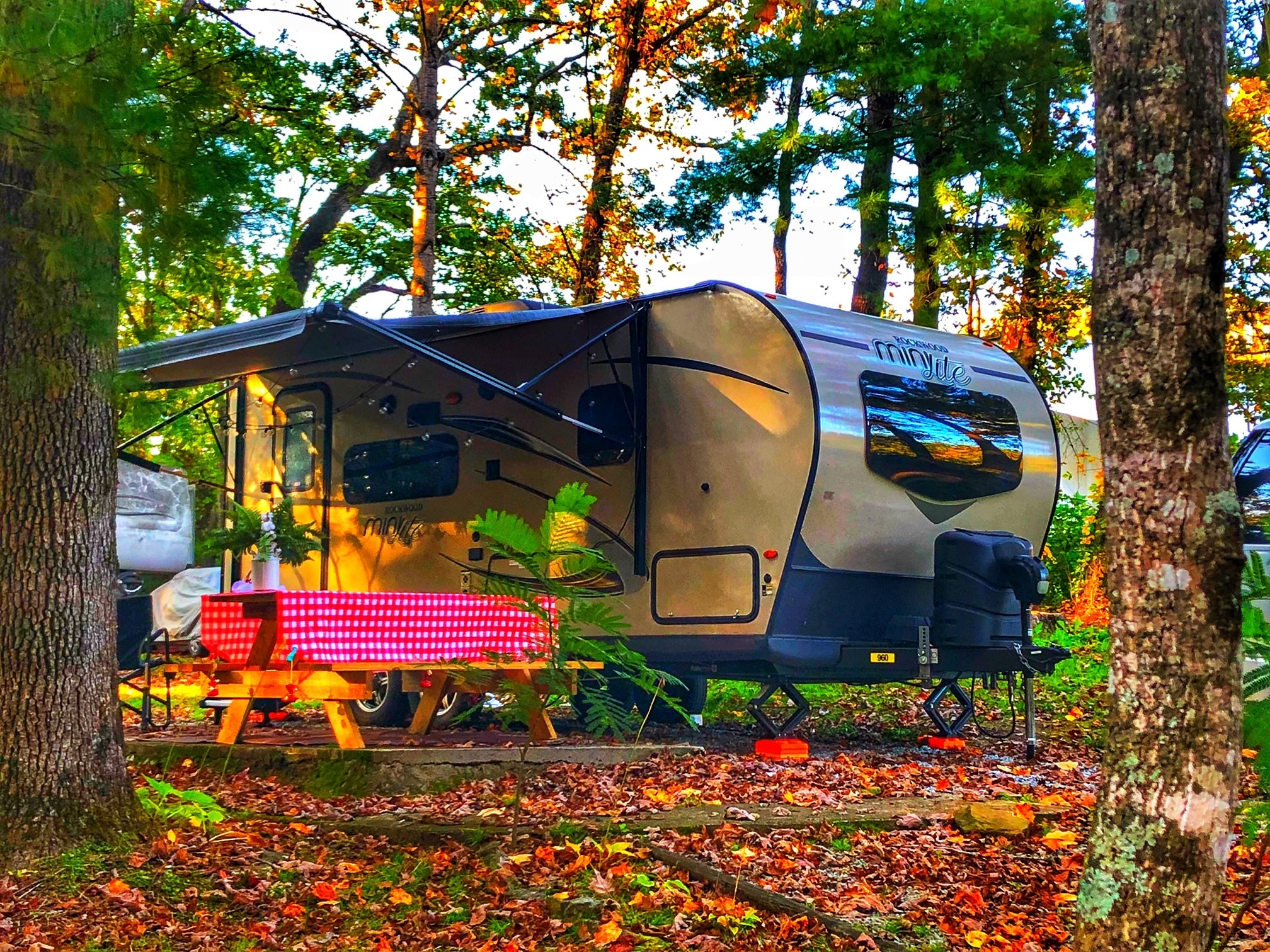 Camper submitted image from Blue Ridge Travel Park - 1