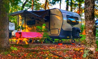 Camping near Hickory Nut Falls Family Campground: Blue Ridge Travel Park, Dana, North Carolina