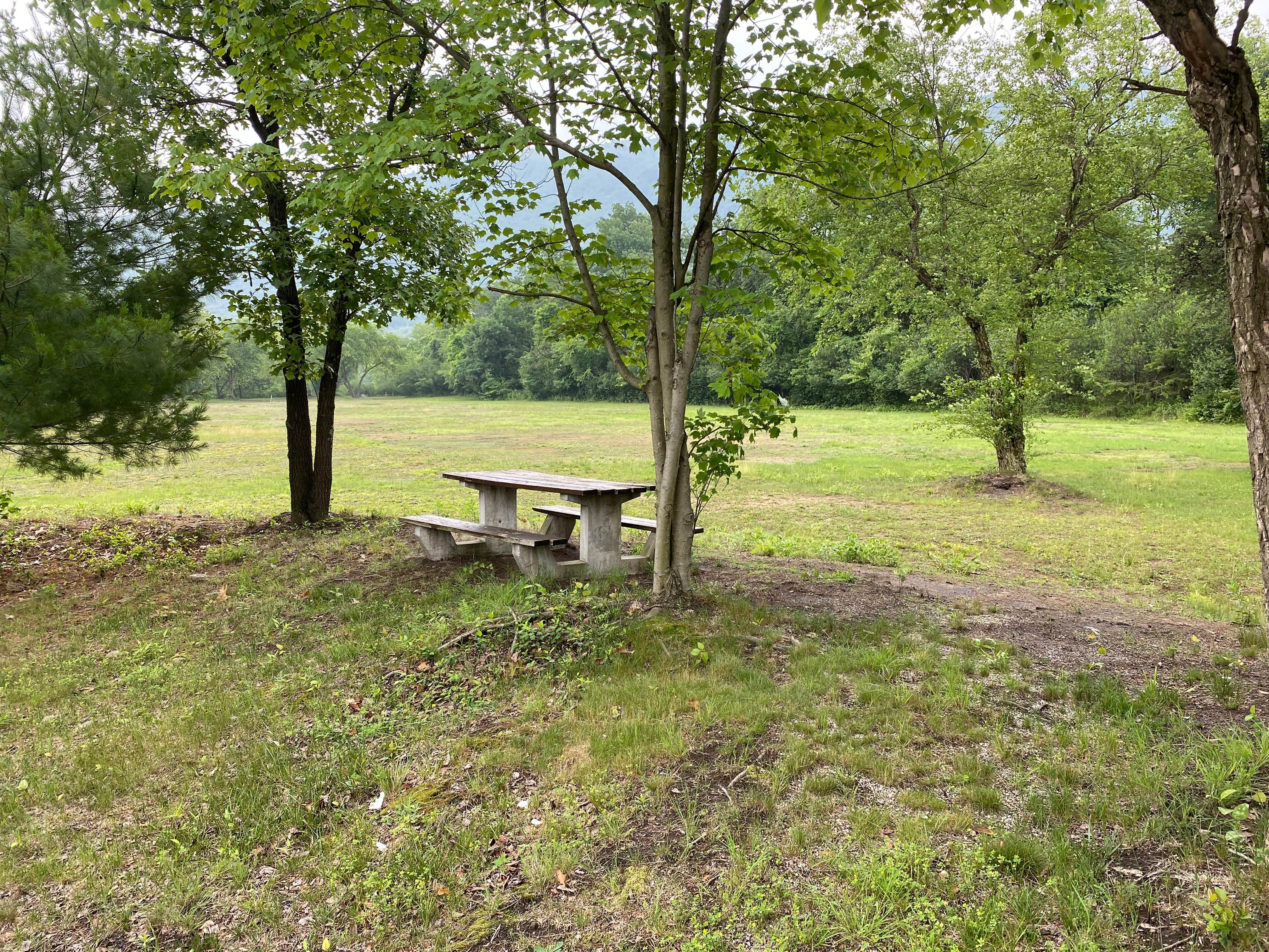 Camper submitted image from Riverview Park Campground - 3